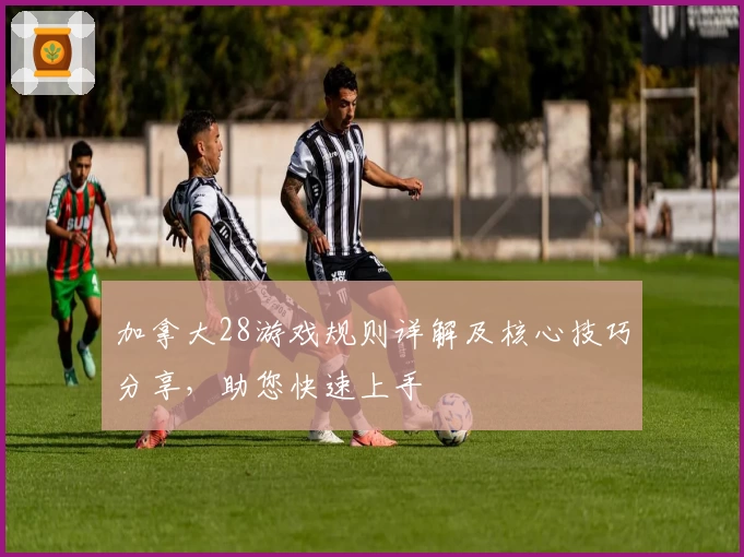 加拿大28游戏规则详解及核心技巧分享，助您快速上手