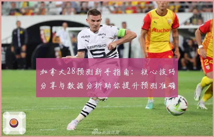 加拿大28预测新手指南：核心技巧分享与数据分析助你提升预测准确率