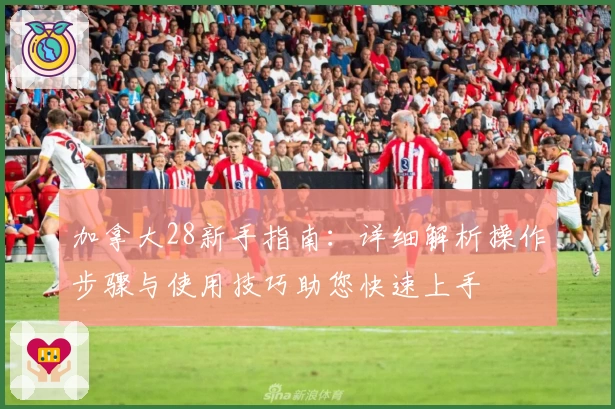 加拿大28新手指南：详细解析操作步骤与使用技巧助您快速上手
