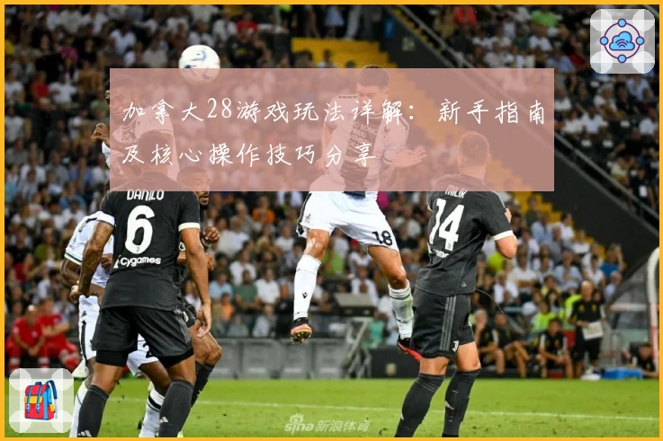 加拿大28游戏玩法详解：新手指南及核心操作技巧分享