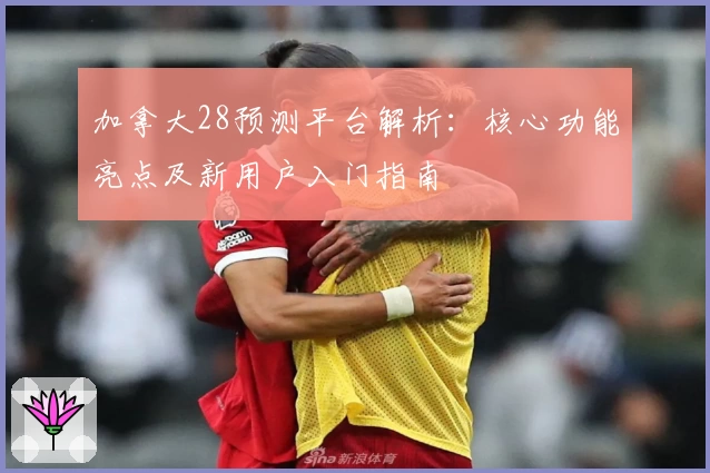 加拿大28预测平台解析：核心功能亮点及新用户入门指南