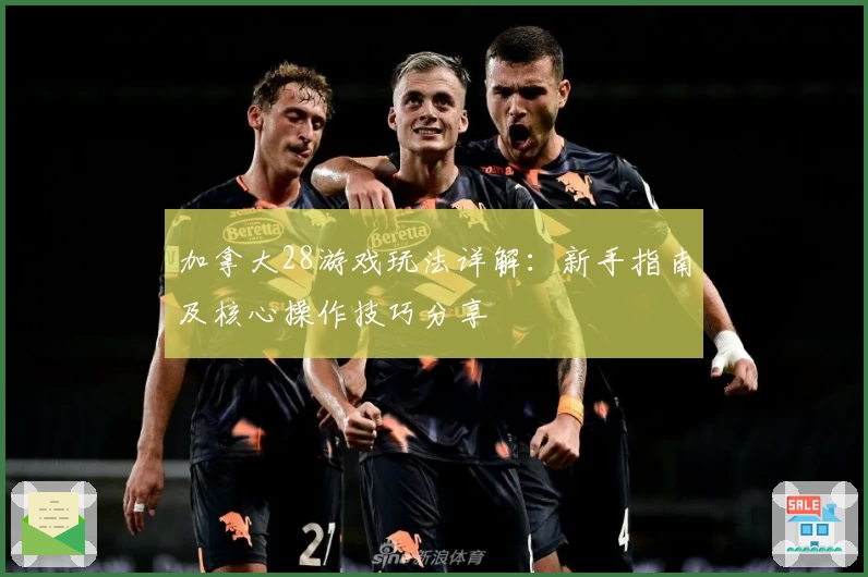 加拿大28游戏玩法详解：新手指南及核心操作技巧分享