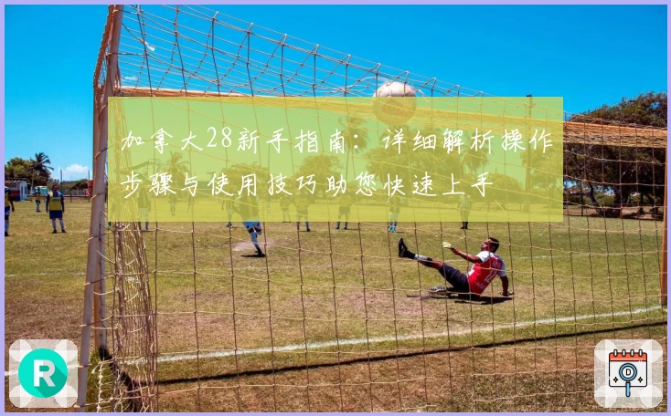 加拿大28新手指南：详细解析操作步骤与使用技巧助您快速上手