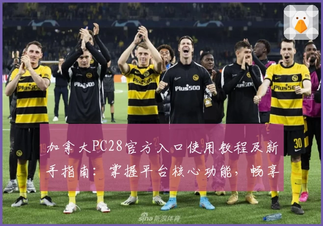 加拿大PC28官方入口使用教程及新手指南：掌握平台核心功能，畅享快捷操作体验