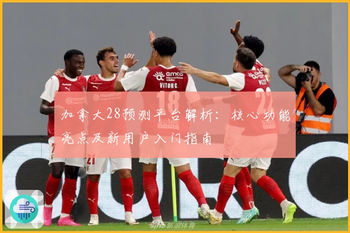 加拿大28预测平台解析：核心功能亮点及新用户入门指南