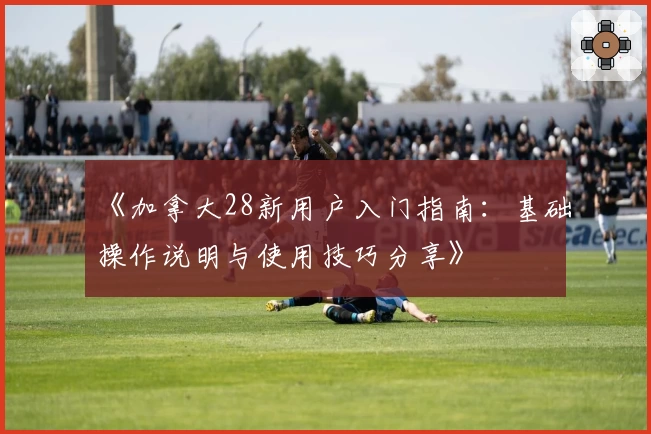 《加拿大28新用户入门指南：基础操作说明与使用技巧分享》