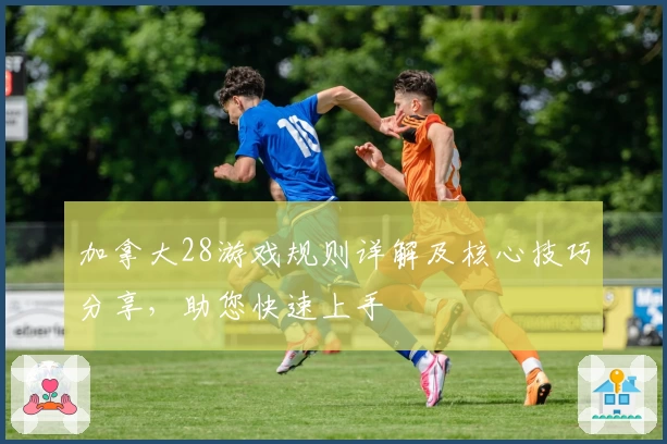 加拿大28游戏规则详解及核心技巧分享，助您快速上手