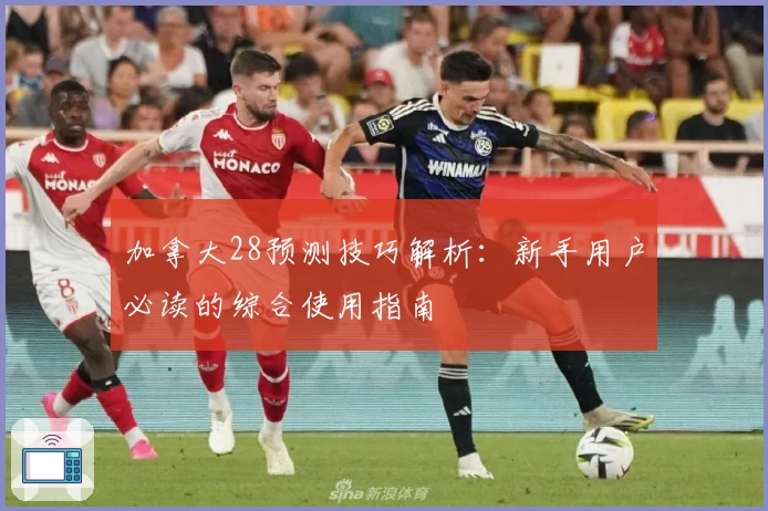 加拿大28预测技巧解析：新手用户必读的综合使用指南